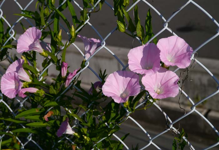 1407p1010257