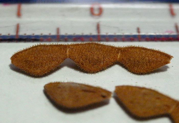 1410r0014416