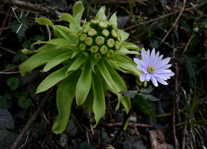 1503p1010315