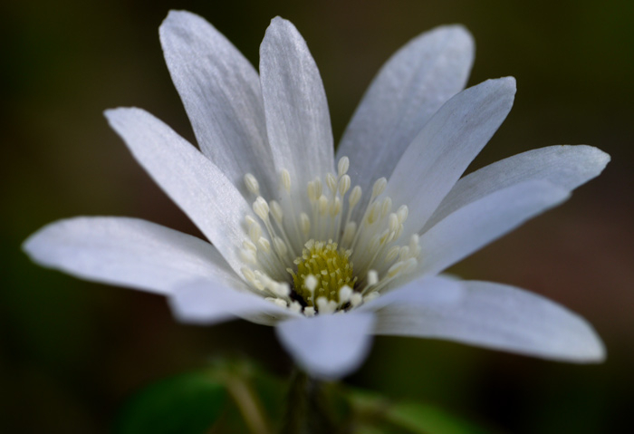 1503p1000551
