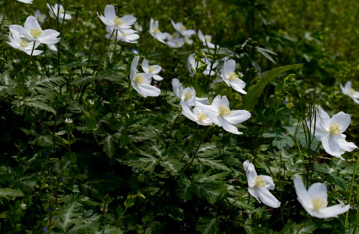 1504p1010471