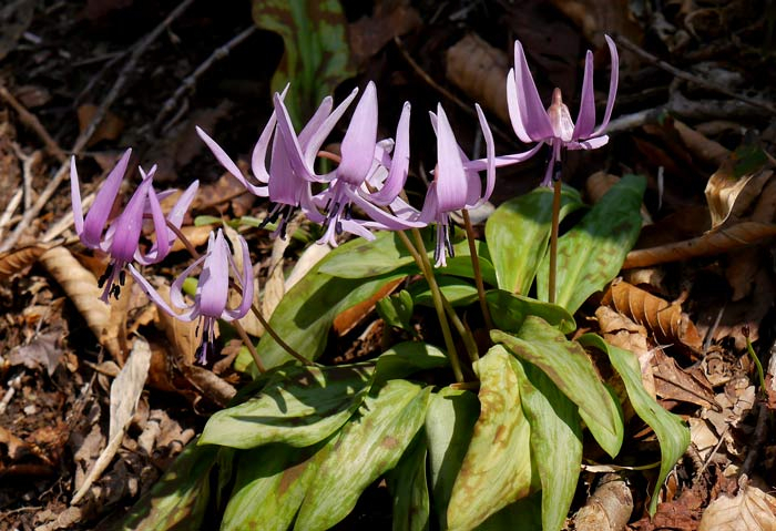 1504p1010562